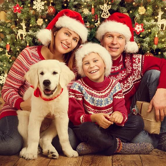 10Pack Christmas Santa Hats for Adults - Extra Thicken Velvet Santa Claus Hats for Women Men Fluffy Plush Xmas Hats Christmas Party Supplies New Year's Eve Party Hats for Adults Teenagers - RnR Galore