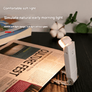 2 Pcs White USB Rechargeable Clip - on LED Book Light - 3 Color Modes & Dimmable Brightness for Eye - Caring Reading - RnR Galore