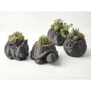 3D printed animal flower pots suitable for home and garden. Gray turtle single piece. - RnR Galore