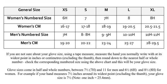 3M Winter Motorbike Bike Waterproof Gloves Leather Motor Bicycle Motorcycle - Black - L - RnR Galore