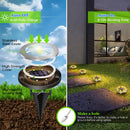 4 - Pack Classic Large 8 LED Solar In - Ground Yellow Light Set (12 x 12 x 13 cm) - Stainless Steel Waterproof Garden Spike Lamps for Lawn & Pathway - RnR Galore