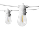 50M LED Festoon Light Outdoor String Light Christmas Wedding Party Decorations - RnR Galore