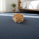 5m2 Box of Premium Carpet Tiles Commercial Domestic Office Heavy Use Flooring Blue - RnR Galore