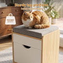 Artiss Storage Ottoman with Drawer 100kg Capacity Footrest Cushion Oak-5