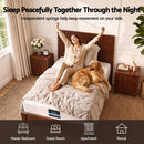Giselle 25cm Single Hybrid Mattress Soft Knitted Fabric Edge Support Gel Foam-7
