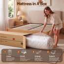 Giselle 30cm Queen Spring Mattress Tencel Cover 5-Zone Firm Back Support-9