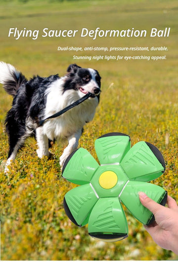 Frisbee Deformation Ball - green + 3 Light Version×5 - 0