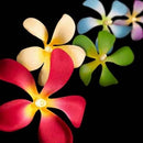 1 Set of 20 LED Tropical Bright Colous Frangipani Flower Battery String Lights Christmas Gift Home Wedding Party Decoration Outdoor Table Centrepiece-5