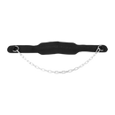 Dipping Dip Weight Lifting Belt-1