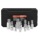 XZN Triple Square Spline Bit Socket Set 10-Piece M4-M18 Cr-V Steel Storage Case-1