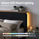 Artiss Double Bed Frame Upholstered Adjustable Headboard Mood Lighting Heavy Duty Black Velvet - RnR Galore