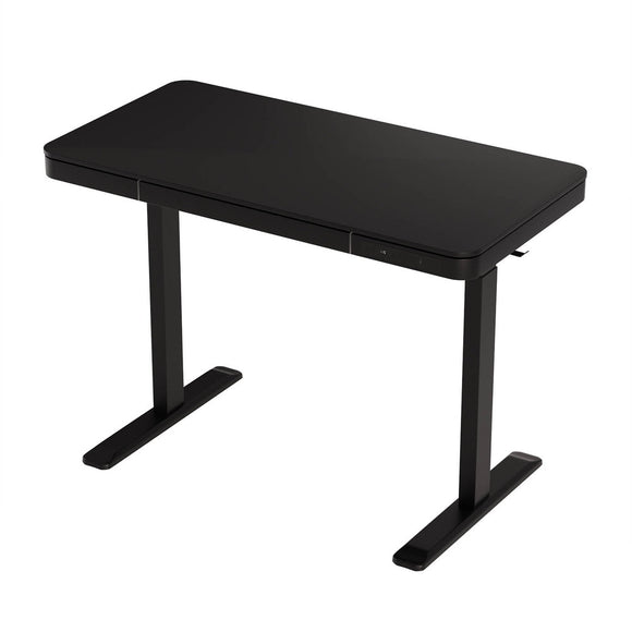 Artiss Standing Desk Motorised Electric Dual Motor Drawer 120CM Black - RnR Galore