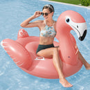 Bestway Flamingo Float Rider Inflatable Ride On Floating Pool Lounger 148x127CM - RnR Galore
