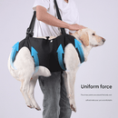 Black Pet Support Harness for Senior and Disabled Dogs - Adjustable Chest and Back Support Leash(Size S) - RnR Galore