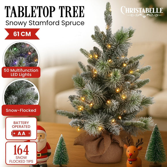 Christabelle 61cm Pre - Lit Snowy Stamford Spruce Battery - Operated Mini Christmas Tree Multi - Functional LED Timer - RnR Galore