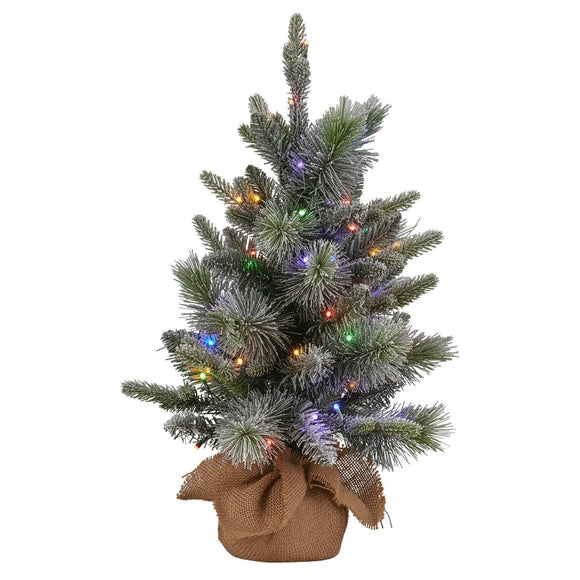 Christabelle 61cm Pre - Lit Snowy Stamford Spruce Battery - Operated Mini Christmas Tree Multi - Functional LED Timer - RnR Galore