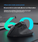 Ergonomic Vertical Mouse - 2.4G/Bluetooth Multi - Mode, LED Display, 57 - Degree Angle, & 400mAh Battery(Beige) - RnR Galore