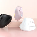 Ergonomic Vertical Mouse - Multi - Device Bluetooth5.0 & 2.4G Wireless, Adjustable DPI, Silent Click(black) - RnR Galore