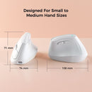 Ergonomic Vertical Mouse - Multi - Device Bluetooth5.0 & 2.4G Wireless, Adjustable DPI, Silent Click(Purple) - RnR Galore