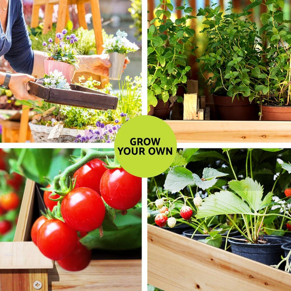 Green Fingers Garden Bed Elevated 120x60x80cm Wooden Planter Box Raised Container - RnR Galore