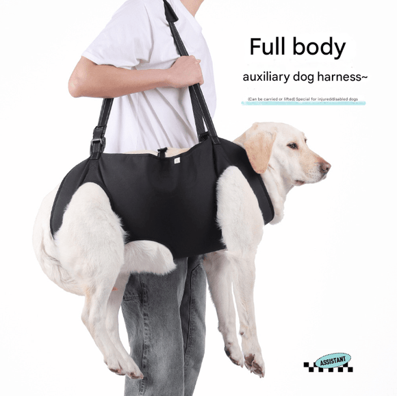 Green Pet Support Harness for Senior and Disabled Dogs - Adjustable Chest and Back Support Leash(Size L) - RnR Galore