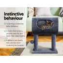 i.Pet Cat Tree 53cm Scratching Post Tower Scratcher Wood Condo House Trees Grey - RnR Galore