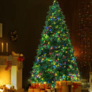 Jingle Jollys Christmas Tree 2.1m Xmas Tree Decoration 8 Light Mode Multi Colour - RnR Galore