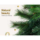 Jingle Jollys Christmas Tree 2.1M Xmas Tree Decorations Pine Needles 1584 Tips - RnR Galore
