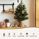 Jingle Jollys Tabletop Christmas Tree 60CM 8 Light Modes Timer Function - RnR Galore