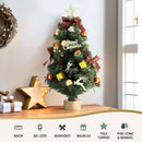 Jingle Jollys Tabletop Christmas Tree 60CM LED Xmas Tree Tree Topper Ornaments - RnR Galore