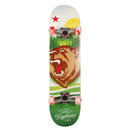 Kryptonics 31 - inch Star Series Complete Skateboard - RnR Galore