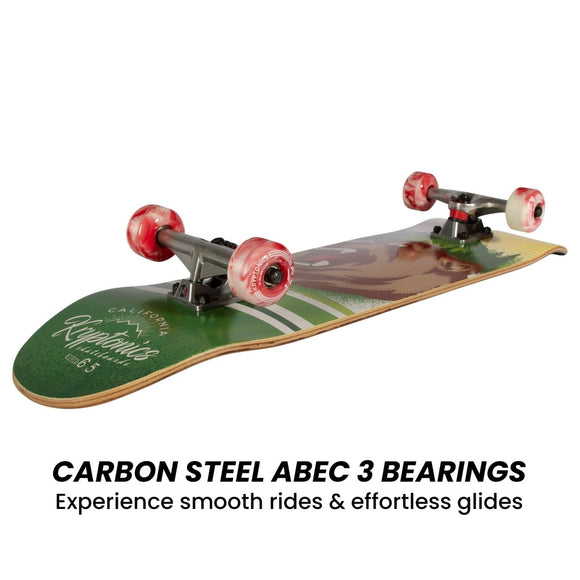 Kryptonics 31 - inch Star Series Complete Skateboard - RnR Galore