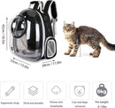 Grey Transparent Pet Space Capsule Backpack for Small Pets