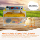 Rooster Farms Electric 112 Egg Incubator + Accessories for Chicken Quail Duck - RnR Galore