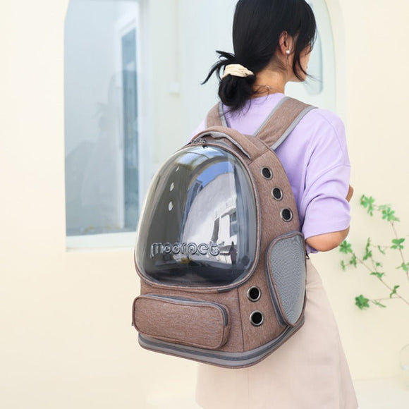 Spacious Pet Carrier with Ventilation System & Water - Resistant Design(black) - RnR Galore