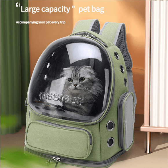 Spacious Pet Carrier with Ventilation System & Water - Resistant Design(green) - RnR Galore
