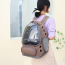 Spacious Pet Carrier with Ventilation System & Water - Resistant Design(grey) - RnR Galore