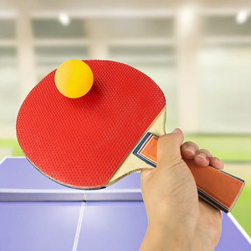 Table Tennis Game Indoor Portable Travel Ping Pong Ball Set Extendable - RnR Galore