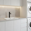 Tall Basin Mixer Tap Faucet - Kitchen Laundry Bathroom Sink - RnR Galore