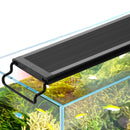 aquarium light