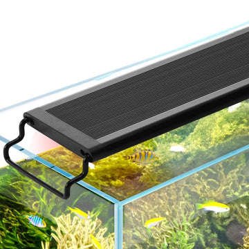 aquarium light
