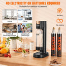 VEVOR Home Soda Maker Kit with CO2 Cylinders & BPA-free Bottle - RnR Galore