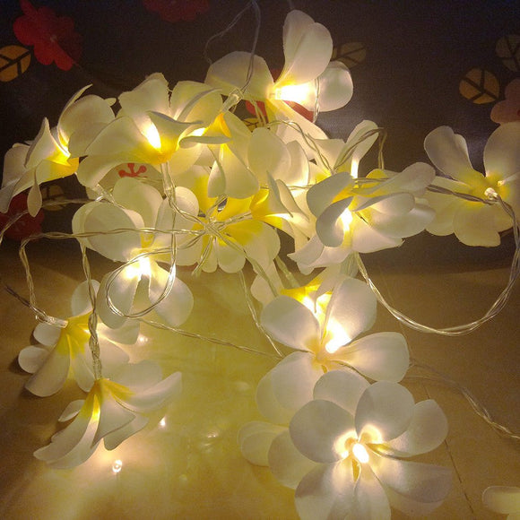 1 Set of 20 LED White Frangipani Flower Battery String Lights Christmas Gift Home Wedding Beach Party Decoration Outdoor Table Centrepiece - RnR Galore