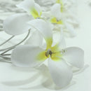 1 Set of 20 LED White Frangipani Flower Battery String Lights Christmas Gift Home Wedding Beach Party Decoration Outdoor Table Centrepiece - RnR Galore