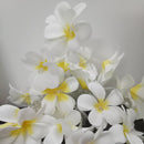 1 Set of 20 LED White Frangipani Flower Battery String Lights Christmas Gift Home Wedding Beach Party Decoration Outdoor Table Centrepiece - RnR Galore