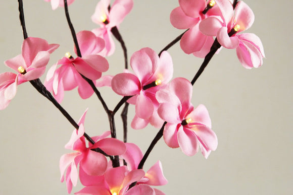 1 Set of 50cm H 20 LED Pink Frangipani Tree Branch Stem Fairy Light Wedding Event Party Function Table Vase Centrepiece Decoration Girl Bedroom - RnR Galore