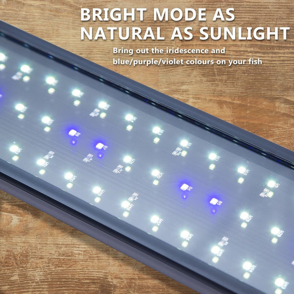 11W Aquarium Blue White LED Light for Tank 50 - 70cm - RnR Galore