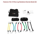 13PC Resistance Bands Set – Fitness Exercise Tubes with Handles & Leg Bands - RnR Galore