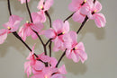 1 Set of 50cm H 20 LED Pink Frangipani Tree Branch Stem Fairy Light Wedding Event Party Function Table Vase Centrepiece Decoration Girl Bedroom-3