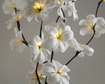 1 Set of 50cm H 20 LED White Frangipani Tree Branch Stem Fairy Light Wedding Event Party Function Table Vase Centrepiece Decoration - 0